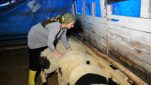 Cumhurbaşkanı Erdoğan ortaklık teklif etti! Azmiyle örnek olan genç kadın hedefini açıkladı - Resim: 1