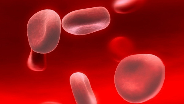 Birçok hastalığa sebep olan demir eksikliği neden olur ve nasıl giderilir? - Resim: 0