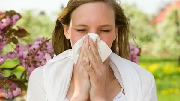 Her geçen sene daha da ağırlaşan sonbahar alerjisinin sebebi ne? - Resim: 0