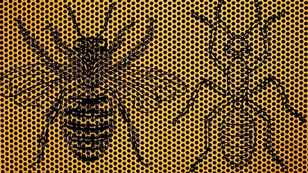 Bu resimdeki detayı fark ediyorsanız yüksek IQ'ya sahipsiniz demektir! - Resim: 1