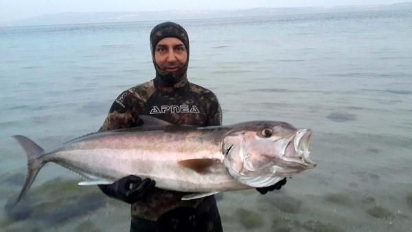 Tüpsüz daldı türünün en büyük balığını avladı! - Resim: 4