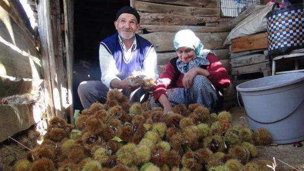 Kestanenin faydaları! Meğer afrodizyakmış ve cinsel gücü... - Resim: 2