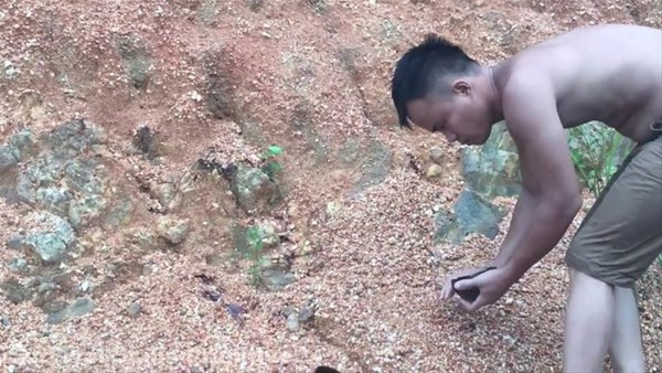 Kirli suyu nasıl temizlediğini görünce hayret edeceksiniz! - Resim: 1