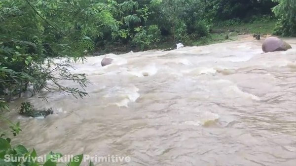 Kirli suyu nasıl temizlediğini görünce hayret edeceksiniz! - Resim: 4