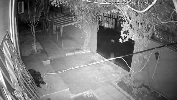 Soymak için günlerce plan yaptıkları kasa boş çıkınca... - Resim: 1