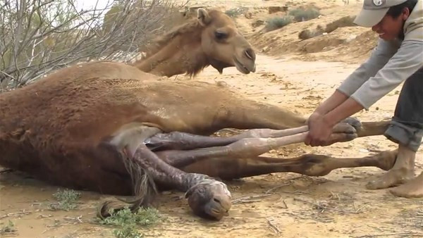 An be an görüntülendi onlar bir mucizeye şahit oldu - Resim: 1