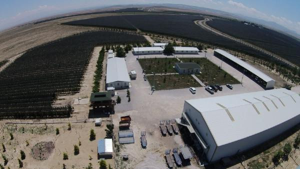 Niğde'deki şu bahçeye bakın! Bir ilden diğerine uzanıyor - Resim: 3