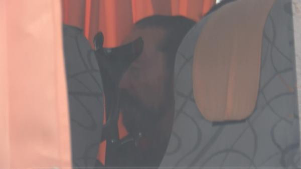 Adnan Oktar'dan son bakış! Kedicikler cezaevine böyle gitti - Resim: 3