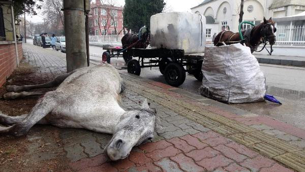 İç sızlatan görüntü: Bir anda yer yığıldı! - Resim: 2