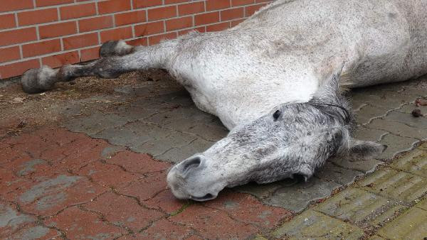 İç sızlatan görüntü: Bir anda yer yığıldı! - Resim: 4