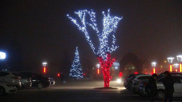 Sis görüşü 10 metreye kadar düşürdü - Resim: 2