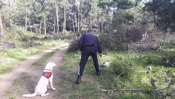 Muğla'da piknikte kaybolan yaşlı kadın bulundu - Resim: 1