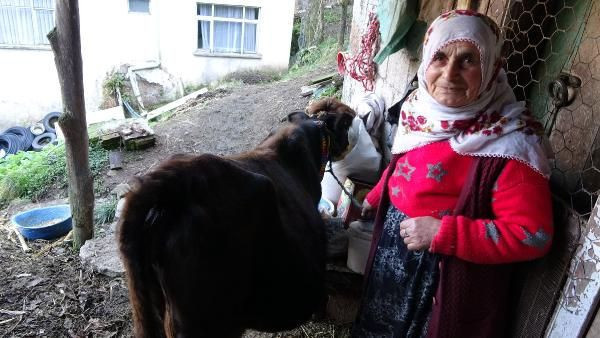 Kesmeye kıyamadığı ineğin yaşını duyanlar şaşırıyor - Resim: 2