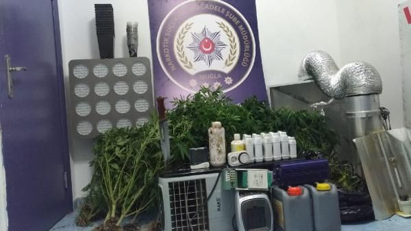 Esrar serasına pitbull ile koruma - Resim: 2