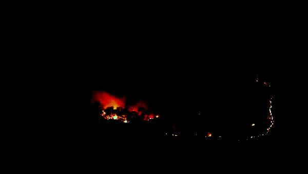 Muğla'nın Ortaca ilçesinde orman yangını! Söndürme çalışmaları devam ediyor - Resim: 3