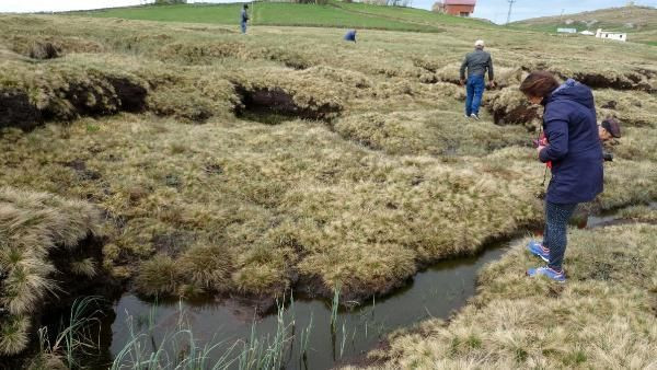 Trabzon'da 10 bin yıllık Ağaçbaşı Turba Bataklığı yakıldı küle döndü - Resim: 2