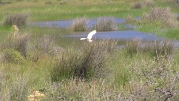 İzmir’in ‘Dipsiz Göl’ü’ İris eski haline getirilecek! Bakanlık olaya el attı - Resim: 1