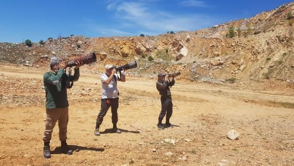 Çorum'da Puhu kuşları için taş ocağında çalışmalar durduruldu! - Resim: 1