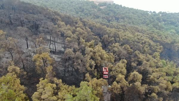 Heybeliada'da yangının bıraktığı hasar böyle görüntülendi - Resim: 3