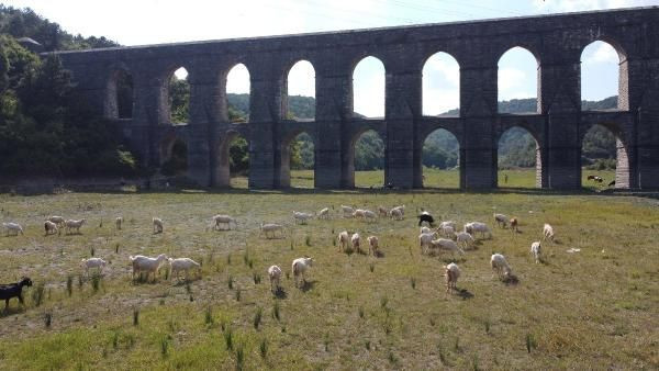 Kötü haber! İstanbul barajlarında doluluk oranı yüzde 50'nin altına düştü - Resim: 1