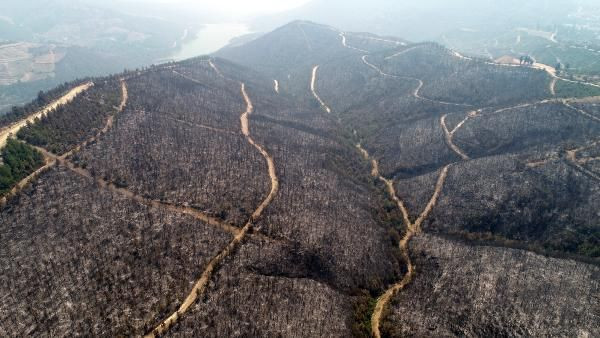 Kozan'daki 3 gün süren yangın! 280 futbol sahası büyüklüğünde alan kül oldu - Resim: 2