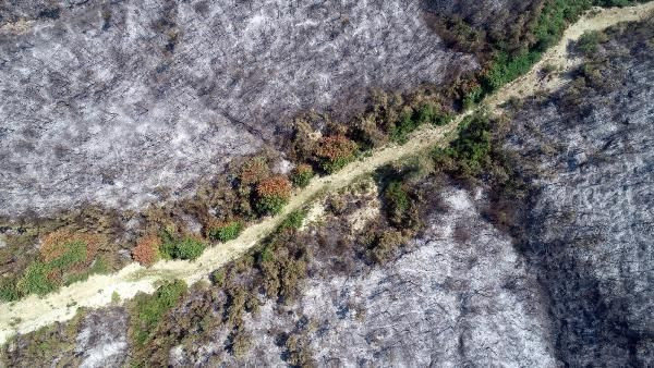 Kozan'daki 3 gün süren yangın! 280 futbol sahası büyüklüğünde alan kül oldu - Resim: 3