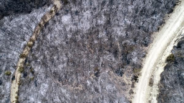 Kozan'daki 3 gün süren yangın! 280 futbol sahası büyüklüğünde alan kül oldu - Resim: 4