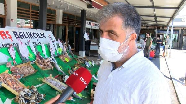 Balık yasağı kalktı tezgahlar palamutla doldu fiyatlar yine de pahalı - Resim: 3