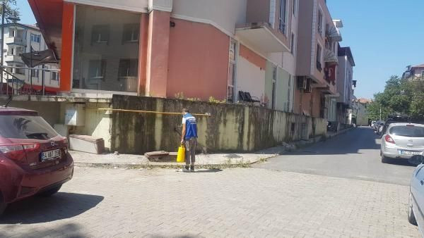 Sapanca'da Asya kaplan sivrisineği paniği yaşanıyor! Her yerdeler - Resim: 4