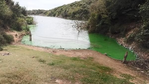 İstanbul'da tüyler ürperten görüntü Eyüpsultan Gölü'ne bunu yaptılar - Resim: 3
