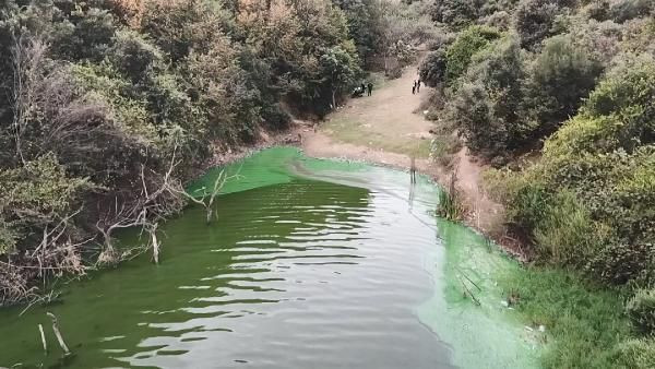 İstanbul'da tüyler ürperten görüntü Eyüpsultan Gölü'ne bunu yaptılar - Resim: 4