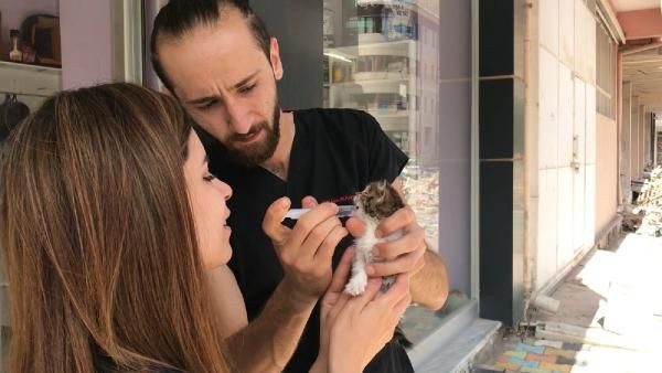 Gerçek veterinerde ortaya çıktı! Bu kediden Türkiye'de sadece 1 tane var - Resim: 4