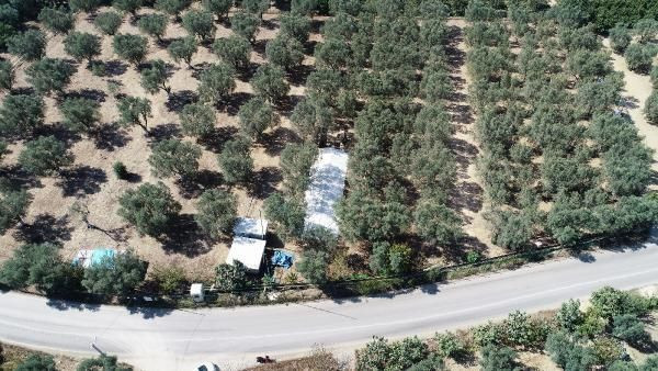 Hemen üstü kapatıldı Bursa'da heyecanlandıran tarihi keşif - Resim: 2