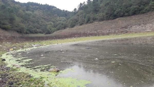Bilim Kurulu üyesi Prof. Dr. Mustafa Necmi İlhan korkuttu: Su kaynaklı salgınlar... - Resim: 4