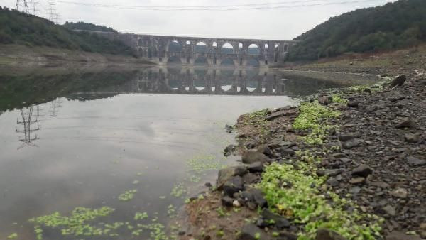 Bilim Kurulu üyesi Prof. Dr. Mustafa Necmi İlhan korkuttu: Su kaynaklı salgınlar... - Resim: 2