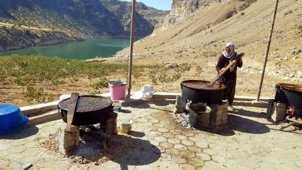 Siirt'te bıttımdan cilt kremi üretti, siparişlere yetişemiyor - Resim: 1