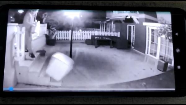 İstanbul'da kargo görevlisi rezaleti! Taşıdığı koliye bakın ne yaptı - Resim: 1