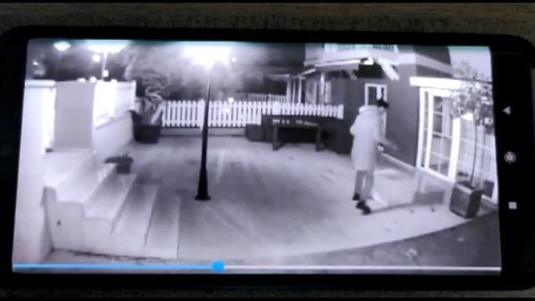 İstanbul'da kargo görevlisi rezaleti! Taşıdığı koliye bakın ne yaptı - Resim: 3