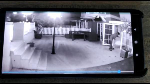 İstanbul'da kargo görevlisi rezaleti! Taşıdığı koliye bakın ne yaptı - Resim: 4