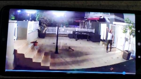 İstanbul'da kargo görevlisi rezaleti! Taşıdığı koliye bakın ne yaptı - Resim: 2