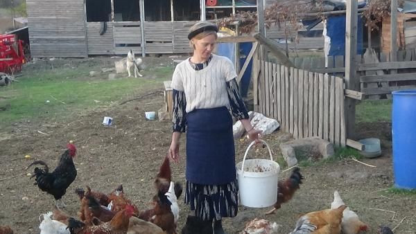 Dünyanın öbür ucundan Çanakkale'nin köyüne yerleştiler! Sebebi ise bakın ne - Resim: 4