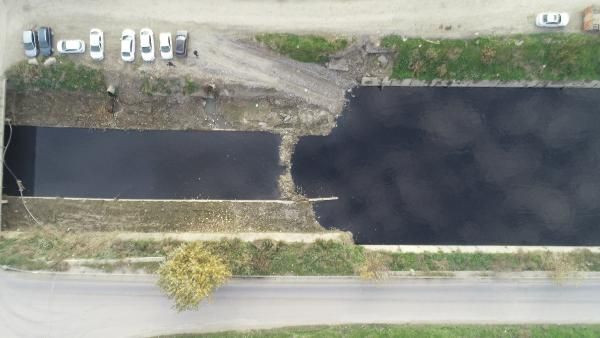 81 ilden örnekler alındı! Korona mutasyonu haritada ortaya çıktı İstanbul Ankara Bursa'da durum kötü - Resim: 3