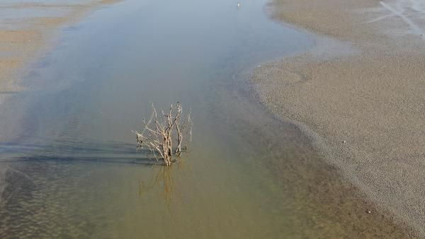 İstanbul'da alarm! Barajların doluluk oranı yüzde 19.91'e düştü - Resim: 1