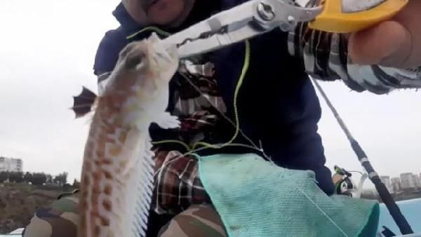 Trakonya balığını eline aldı 30 saniye sonra hastanelik oldu! "Önce acı sonra uyuşma hissettim" - Resim: 2