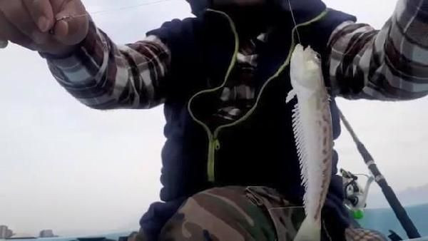 Trakonya balığını eline aldı 30 saniye sonra hastanelik oldu! "Önce acı sonra uyuşma hissettim" - Resim: 4