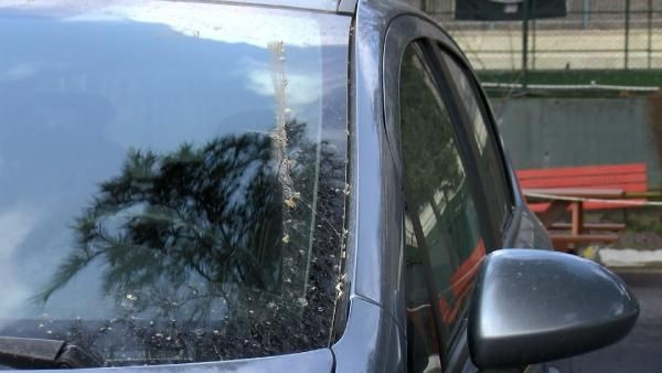 Prof. Dr. Hüseyin Toros açıkladı! İstanbul'daki çamur yağmurunun sebebi; Afrika çöl tozu - Resim: 3