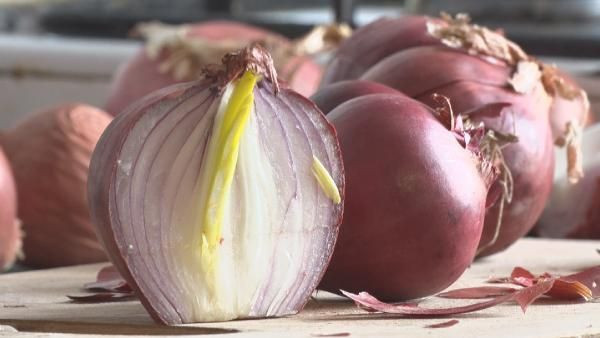 Koronavirüse ‘kırmızı soğan’ etkisi; virüsün akciğer tutulumunu engelliyor - Resim: 2