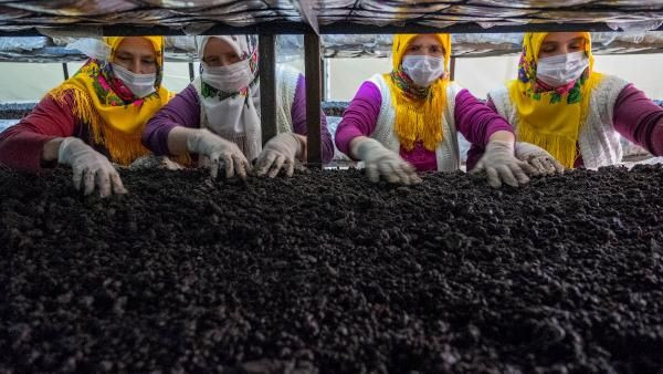 Aylık 40 bin TL gelir! Konya'da tonlarca ürettiler mahalle sabırsızlıkla bekliyorlar - Resim: 4