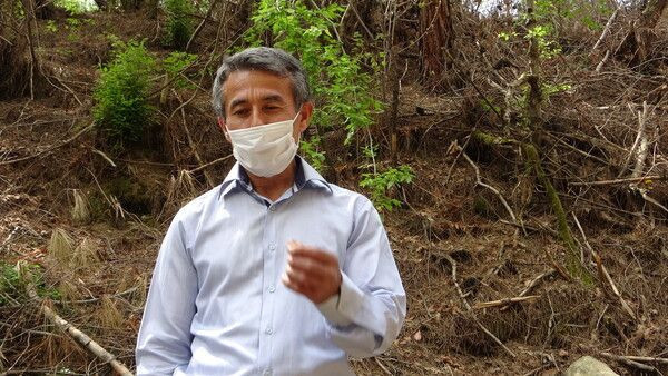 Kilosu 2 bin TL! Adana'da ormanda yetişti toplanması yasaklandı: Çok değerli ve nadir görülüyor - Resim: 4