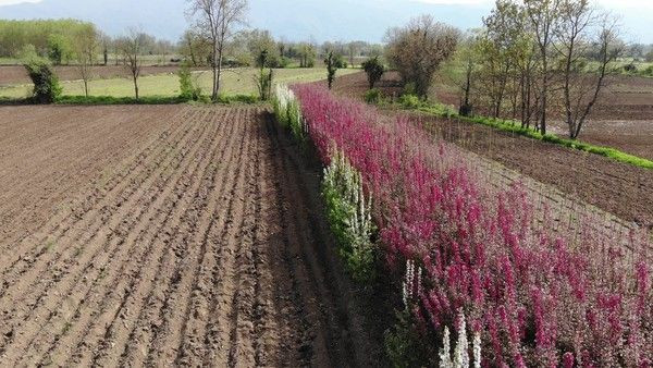 Avrupa'dan geliyordu Düzce'de üretmeye başladı! Sipariş yağıyor - Resim: 3